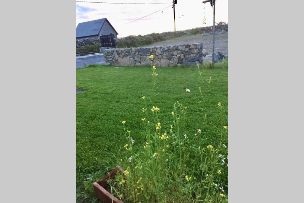 Tigh Noor - Escape To Kinvara By The Sea! ゴールウェイ エクステリア 写真